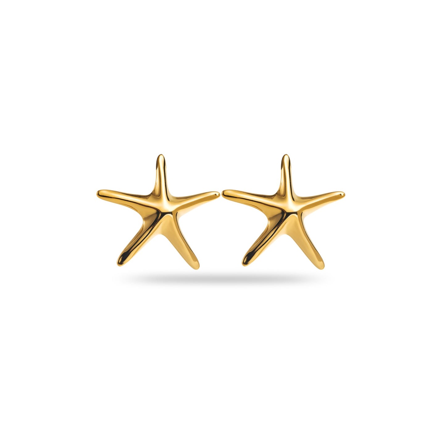 Boucle d'Oreille Etoile de mer