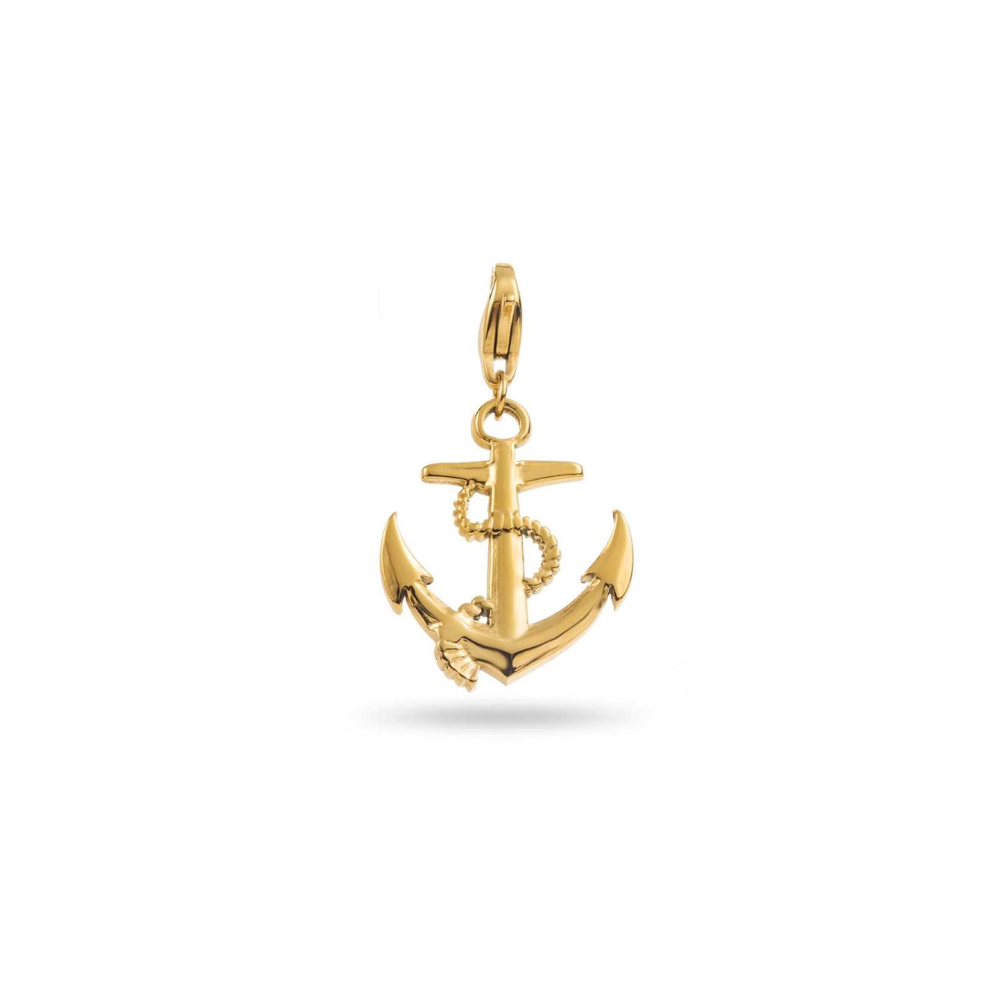Charm Ancre