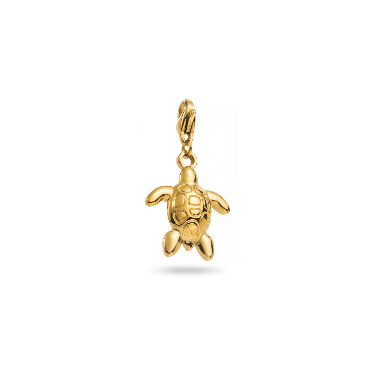 Charm Tortue