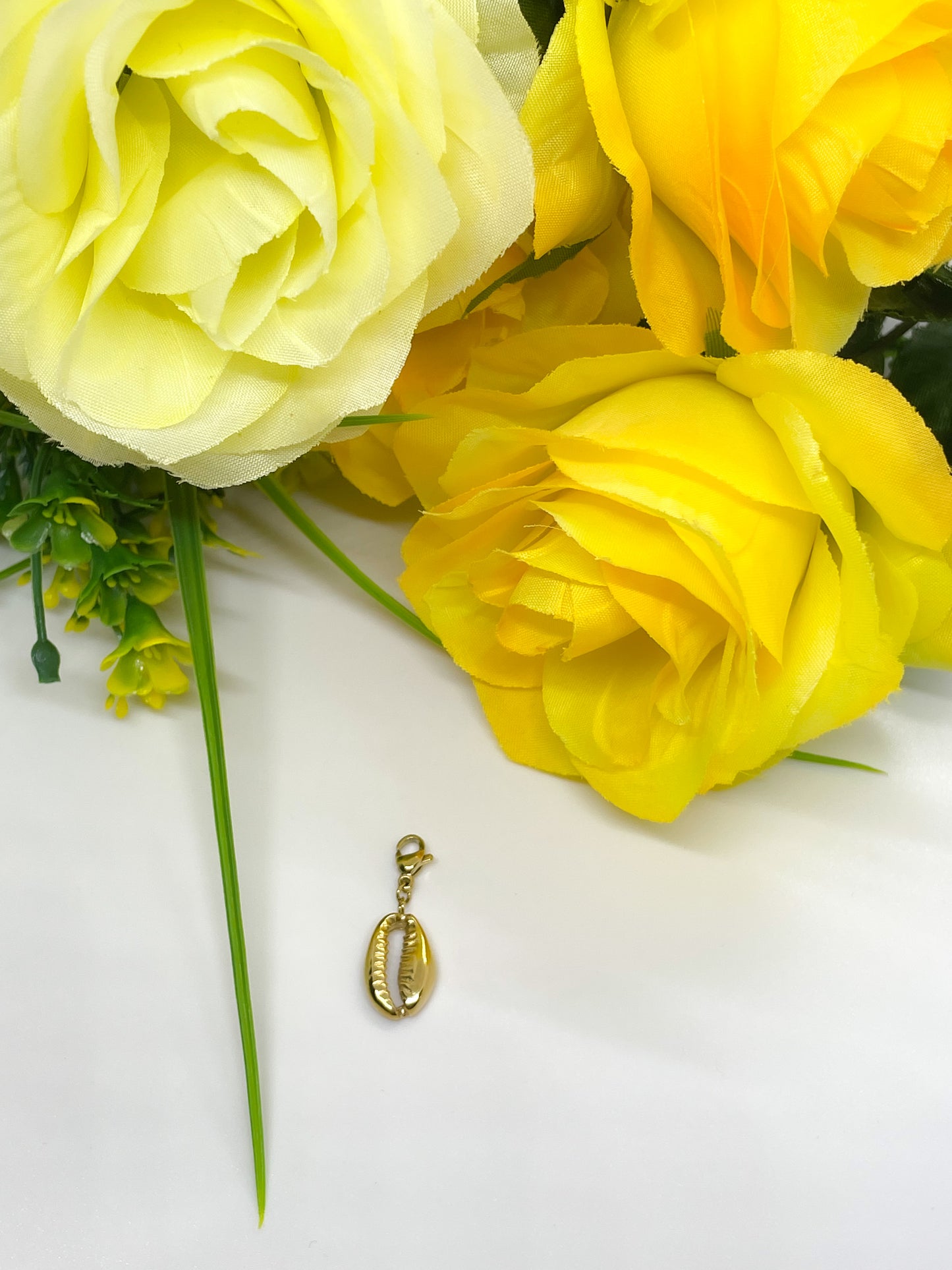 Charm Cauri