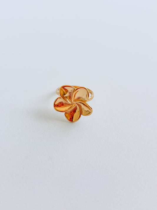 Bague Fleur d'hiver