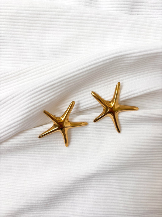 Boucle d'Oreille Etoile de mer