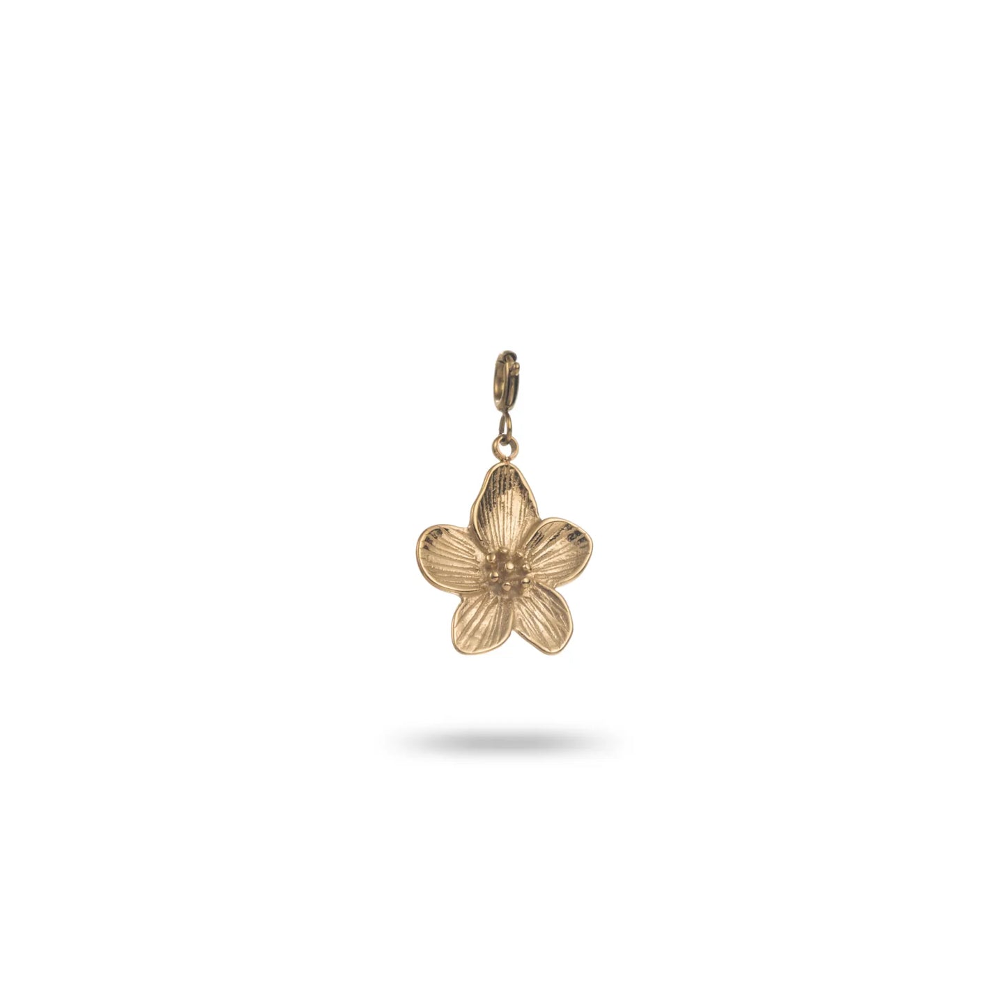 Charm Fleur cinq pétales