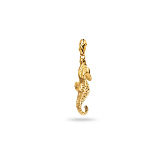 Charm Hippocampe