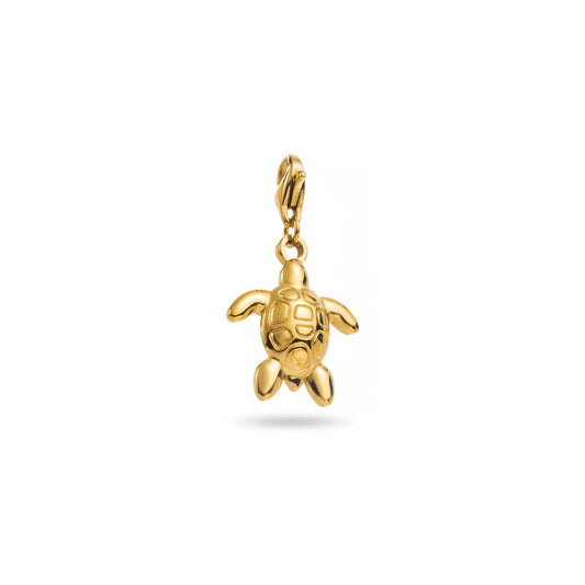 Charm Tortue
