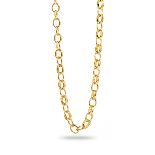 Collier Charm délicat